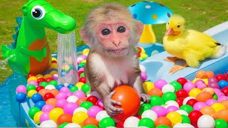 Bin Bon duck Monkey Baby Kittens Puppy Goes Koi Cat And swims Rabbits Animals Eats Egg Muckbang Asmr