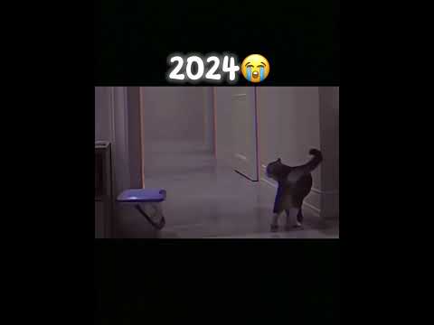 😭#fypシ゚viral #rip #cat #sad
