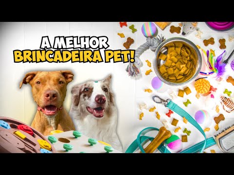 Desafio em Casa: Fizemos Uma Caça Ao Tesouro Para Os Cachorros!