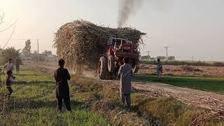 Sugar loaded Trolley Tractor 🚜.