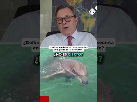 ¿DELFINES KAMIKAZE son el ARMA secreta en la guerra de MEDIO ORIENTE?