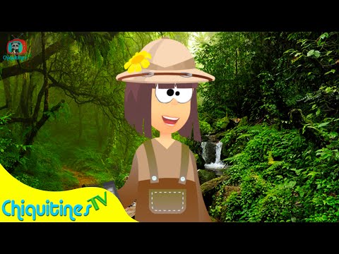 Vengan a Ver Mi Selva - Aprende el Sonido de los Animales