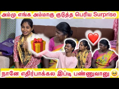 என் அத்தைக்கு நான் குடுத்த பெரிய surprise❤️தீனாக்கே தெரியாது🥺|@dhina_ammu_vlogs8410  #dhinaammu