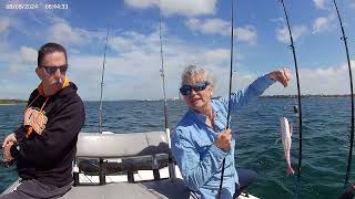 Catching red snapper and grouper with Terry and Kathy inshore on 4-13-26.
