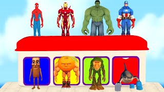 Long Slide Game With Elephant Gorilla Buffalo Hippopotamus Tiger 3d Animal Game Funny 3d Animals