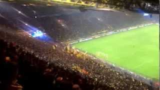 BVB. Süd-Aktion  das 2-0 gegen Gala. Die besten Fans auf der Erde.