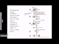 Cancer Biology and Cell Cycle Regulation