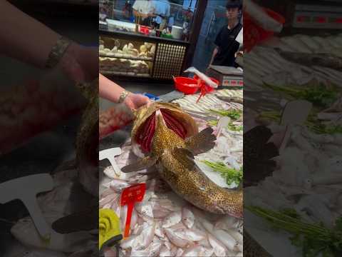 big tasty fish cutting skills #fish #fishing #morayeel