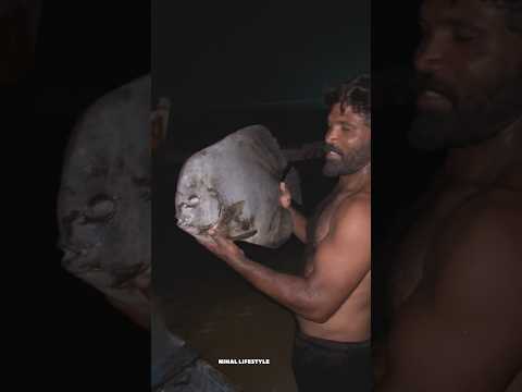 இரவில் ஒரே ஆளாக கட்டுமரத்தில் தொழில் செய்யும் மீனவர்  #fishing #seafood