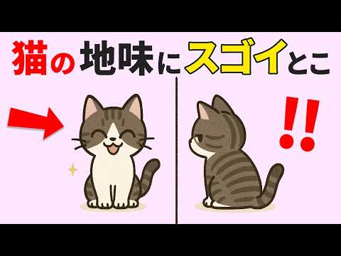 猫の知られざるスゴ技20選と魅力の秘密 サムネイル