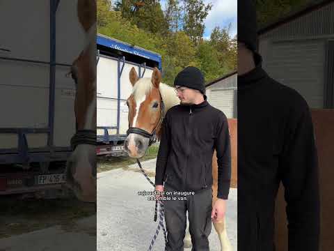 #renovation #van #cheval #equitation #cavaliere #equestrian