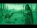 PSYCHEDELIC GYPSY AMBIENT DESERT CHILL   Vol 4