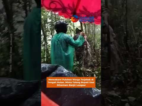 Mencekam! Puluhan Warga Terjebak diTengah Hutan, Minta Tolong Bupati Usai Dihantam Banjir-Longsor