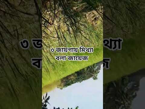 কয় জায়গায় মিথ্যা বলা জায়েজ #shorts #shortsvideo #islam #foryou