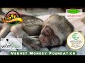 Animal Care and Behavior Assessment