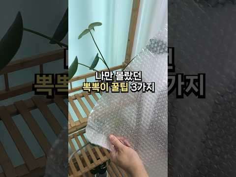 나만 몰랐던 뽁뽁이 꿀팁3가지