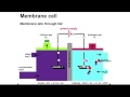 Chloralkali Industry Quiz