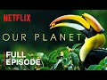 Exploring Forest Ecosystems and Climate Change