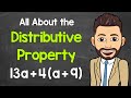Exploring the Distributive Property in Algebra