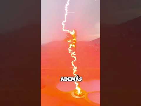 ¿Por Qué los Rayos Siempre Golpean a los Árboles? ⚡🌳