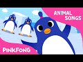 Penguin Dance and Baby Shark Quiz