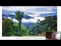 Vegetation and Albedo Dynamics