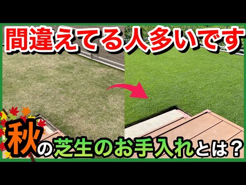 【重要】秋の芝生のお手入れ