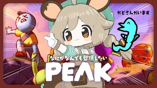急になにがなんでも登頂したい山 feat.かど【PEAK】