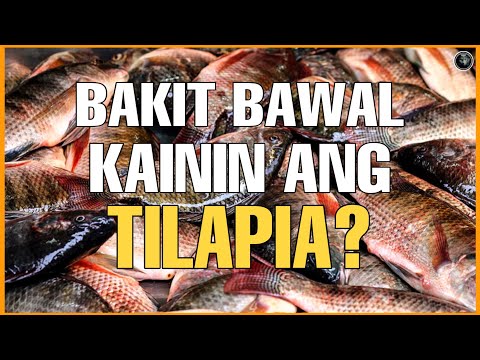 BAKIT DAPAT IWASAN ANG PAGKAIN NG ISDANG TILAPIA