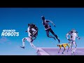 Robotic Applications and Functions
