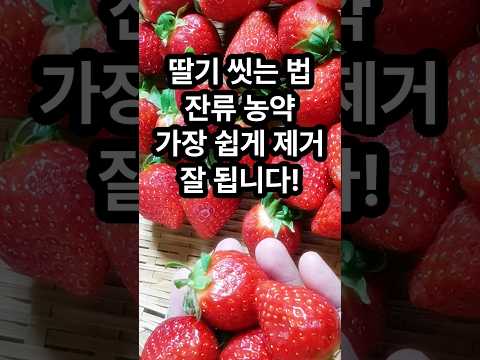 98%가 모르는 딸기 씻는 법! 비료 잔류농약 성분 제걸 잘 됩니다! 딸기 세척법 #딸기씻기 #딸기세척