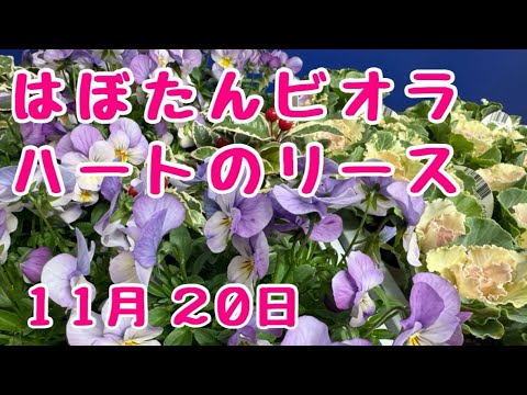 #葉牡丹  #ビオラ  ハートの #リース  ビオラ多めでかわいらしく #寄せ植え #プランツギャザリング　後編　2025年11月20日
