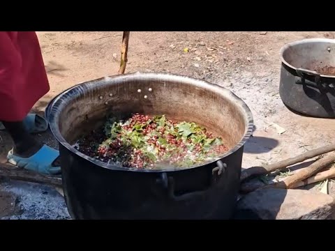 Omo Valley Tribe Village life Ethiopia Africa village life