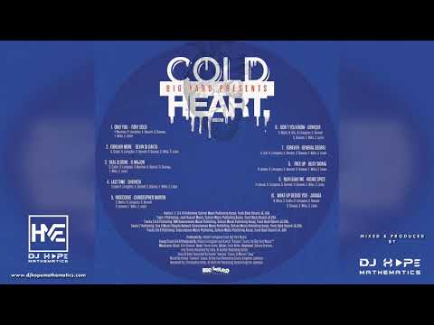 Cold Heart Riddim Mix Requested Chris Martin Busy Signal