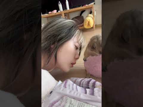 사람 침 묻은건 안먹는다는 후레리독 #마멋 #프레리독 #prairiedog #애매미 #mamot