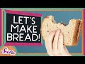 Bread Baking Processes and Science