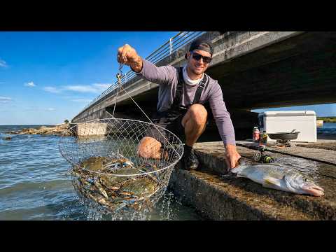 Urban fishing and crabbing for survival... Out of necessity video thumbnail