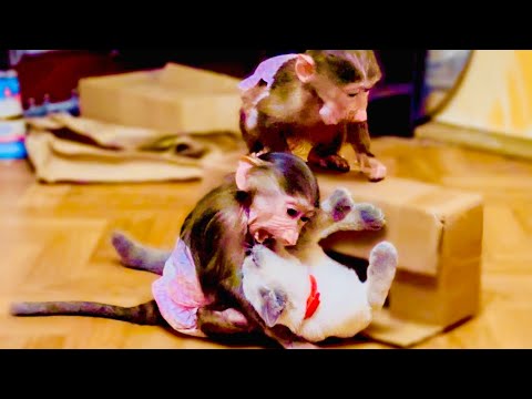 На игры Степы, Мани и Басика можно СМОТРЕТЬ ВЕЧНО! Степашка любуется собой в ЗЕРКАЛЕ!