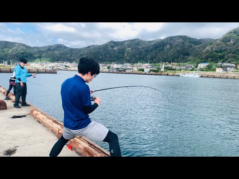 堤防でシマアジ27匹釣った動画