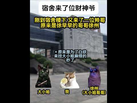 猫の動画サムネイル - 宿舍来了位财神爷第二集#有趣 #猫meme #猫meme剧场 #内容过于真实  #故事 #貓 #猫猫meme小剧场 #喵不可言