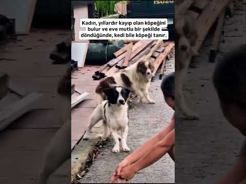 Kaybettiği Köpeğini Bulan Kadının ve Köpeğin Mutluluğu 😍