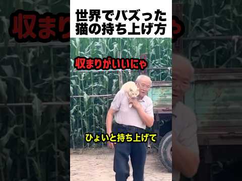 世界でバズった猫の持ち方