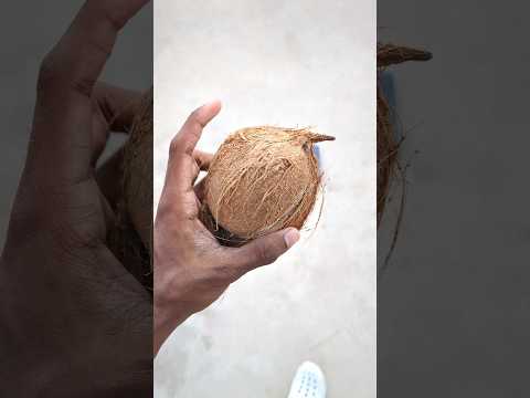 Hand VS Coconut #shorts