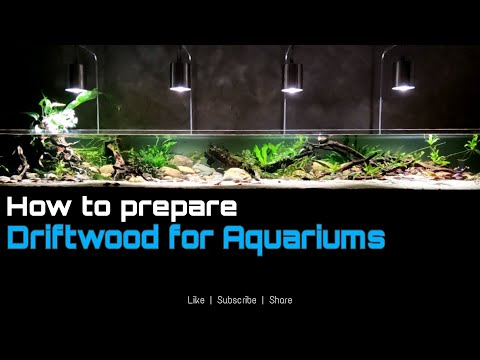 How I clean and treat my DRIFTWOODs before placing Hi Guys,

Welcome back to for another video at my Channel.

In today's video, I will show you how I 