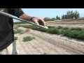 Water Conservation and Soil Management
