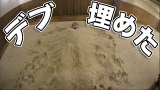 動画サムネイル