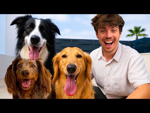 Vakantie Met Zusje Van Ollie En Moos!