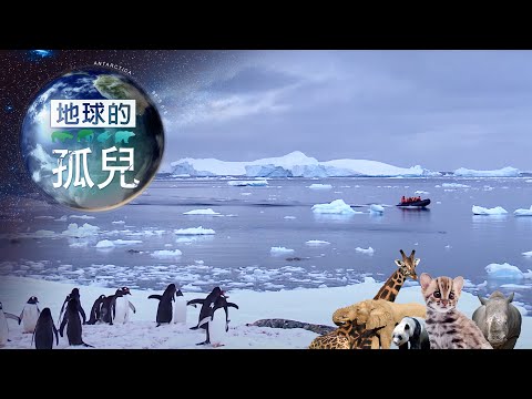 地球的孤兒 ~南極(下)南極全紀錄 Orphans of the Earth／Exploring Antarctica 【全集】｜白心儀 - YouTube