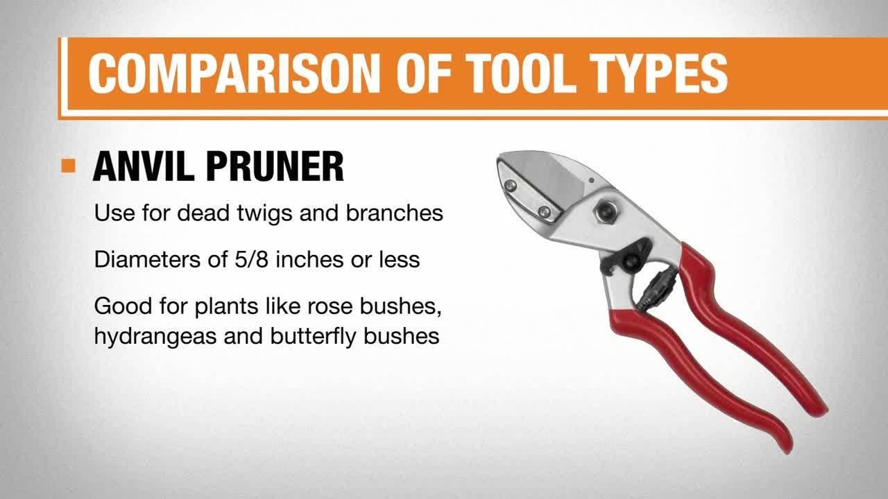 Best Pruning Shears for Your Yard