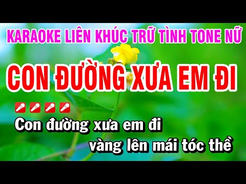 Karaoke Liên Khúc Trữ Tình Tone Nữ Nhạc Sống Dễ Hát – Con Đường Xưa Em Đi | Hoài Phong Organ